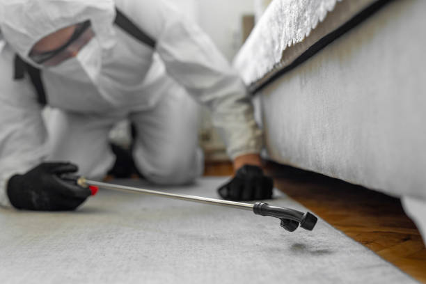 Professional Bed Bug Control technician working in Baker City, OR